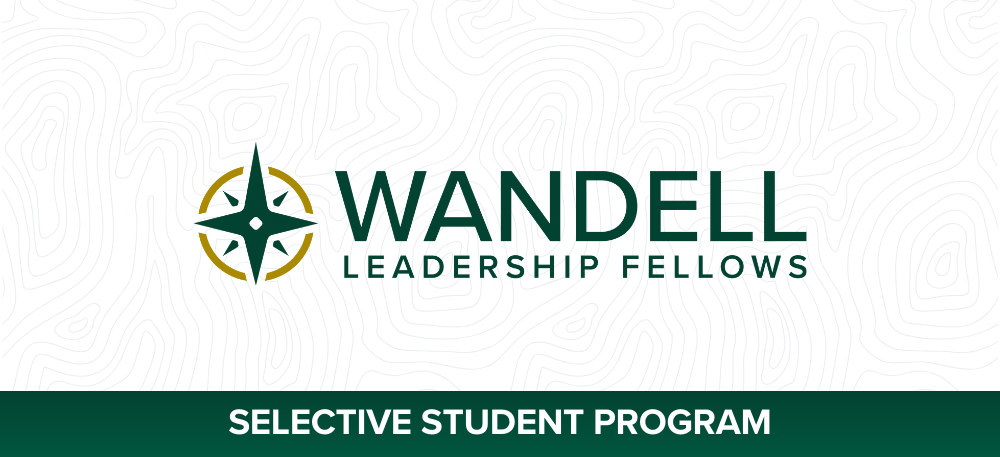 Wandell Fellows Selective Program