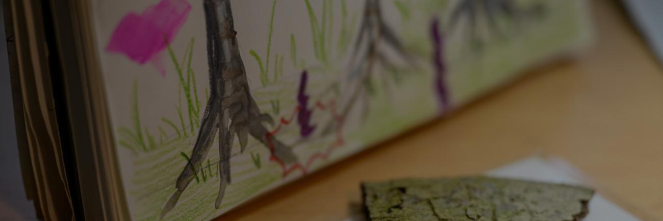 A plant biology student illustrates trees in the forest