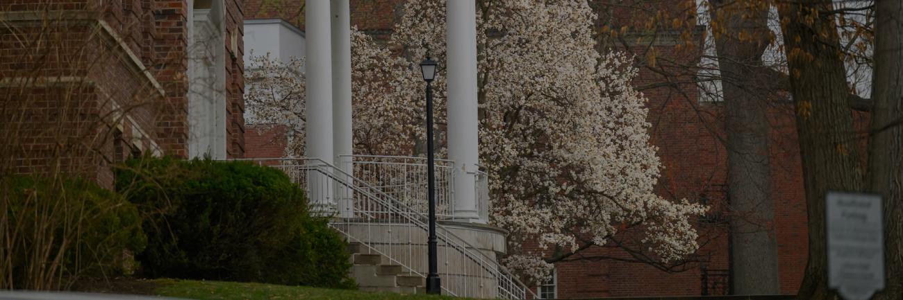 Ellis Hall entry with spring blossoms