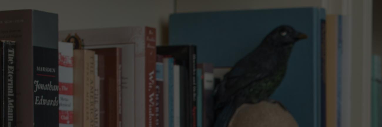 Books and a raven on Paul Jones' office bookshelf