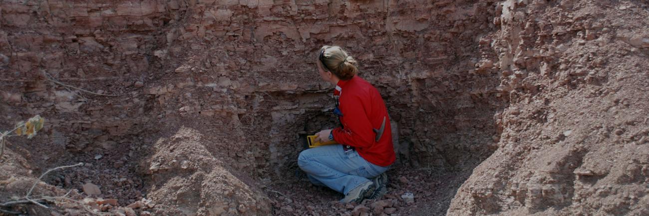 A geology student examines exposed strata on an Appalachian hillside.