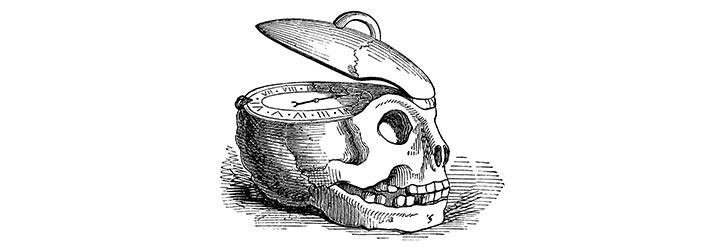Biological anthropologists study the development of human beings over time.