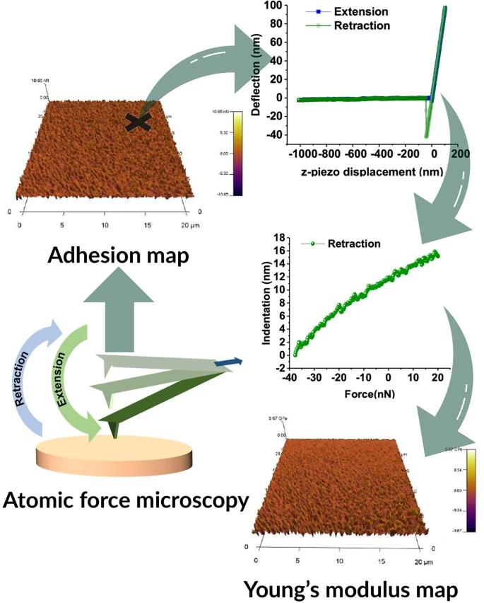 Illustration of Quantifying elasticity maps of methacrylate-based copolymers using atomic force microscopy