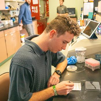 A student in Dr. Sarah Wyatt's lab