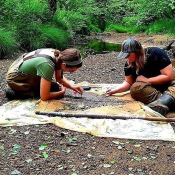 Kelly Love looking at insects she collected.