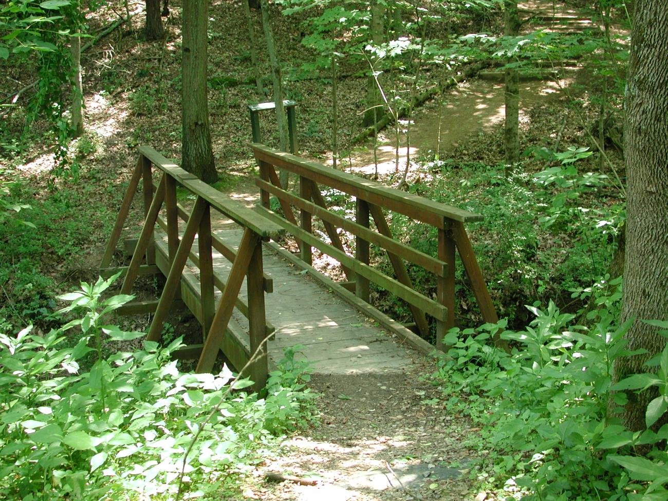A bridge on the Ridges Nature Hike.