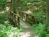 A bridge on the Ridges Nature Hike.