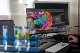 Researcher looking at data on a computer.