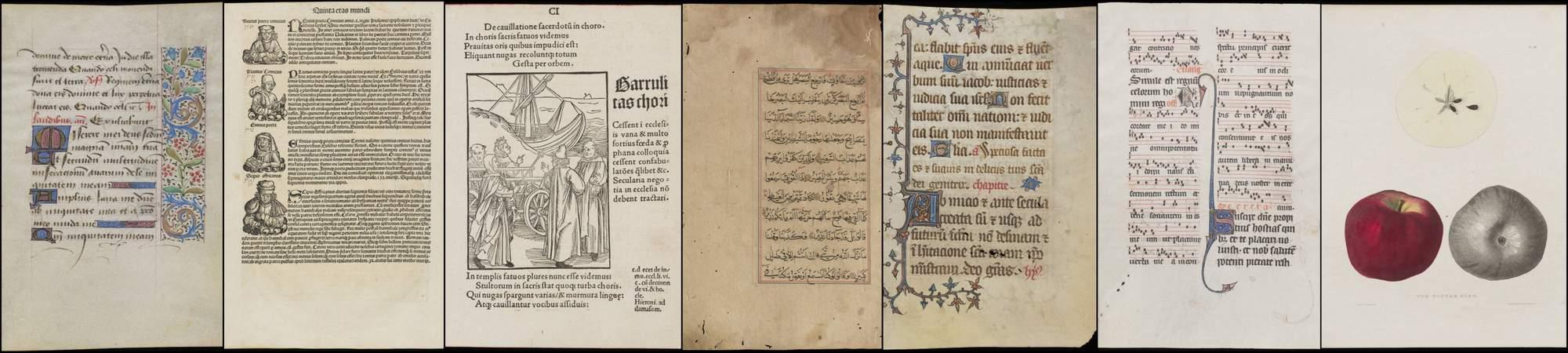Manuscript and Printed Leaves Banner