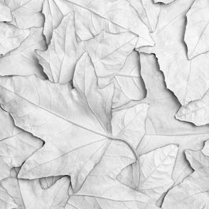 silver leaf print