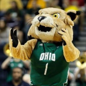 Image of Rufus the Bobcat