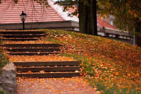 Ohio University - Campus in the Fall
