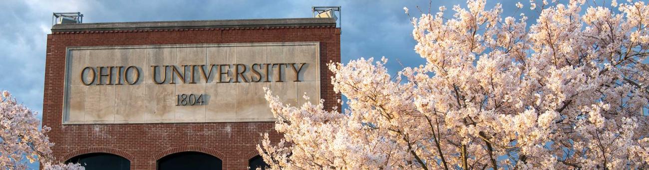 Cherry Blossoms at Peden Stadium