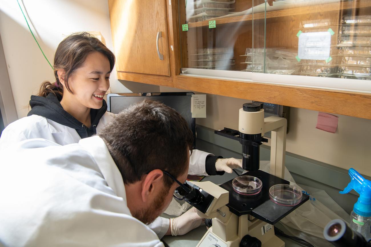 Two Scientists looking at sample in a microscope