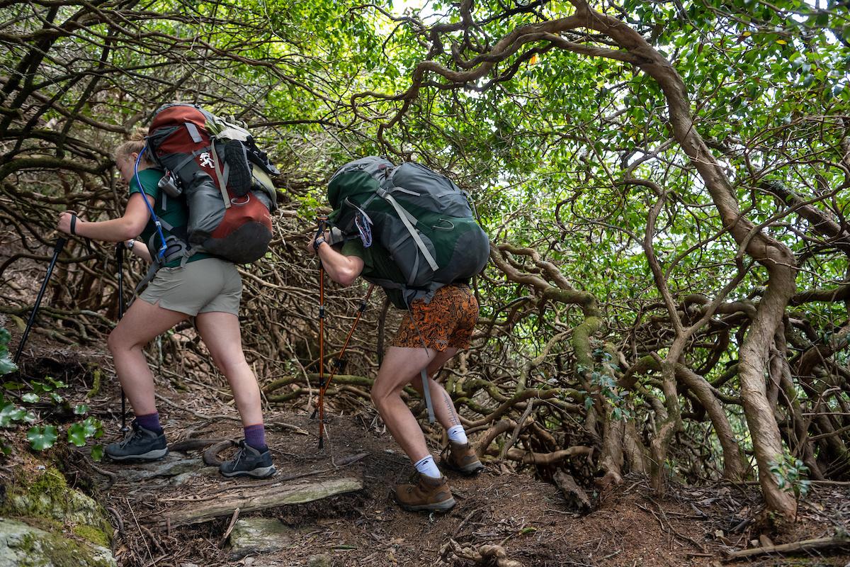 students hiking