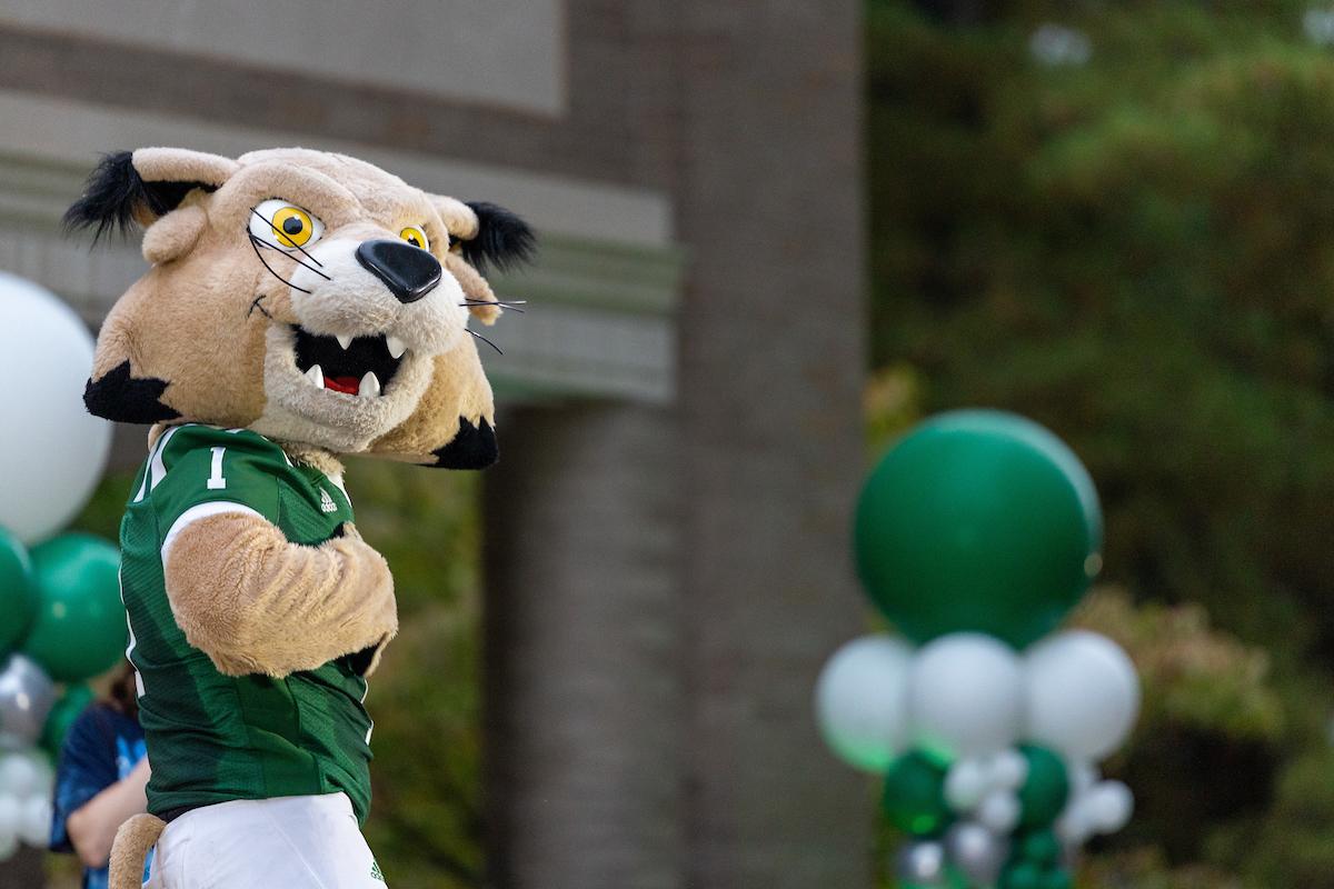 Rufus staring at the camera with green and white balloons behind them