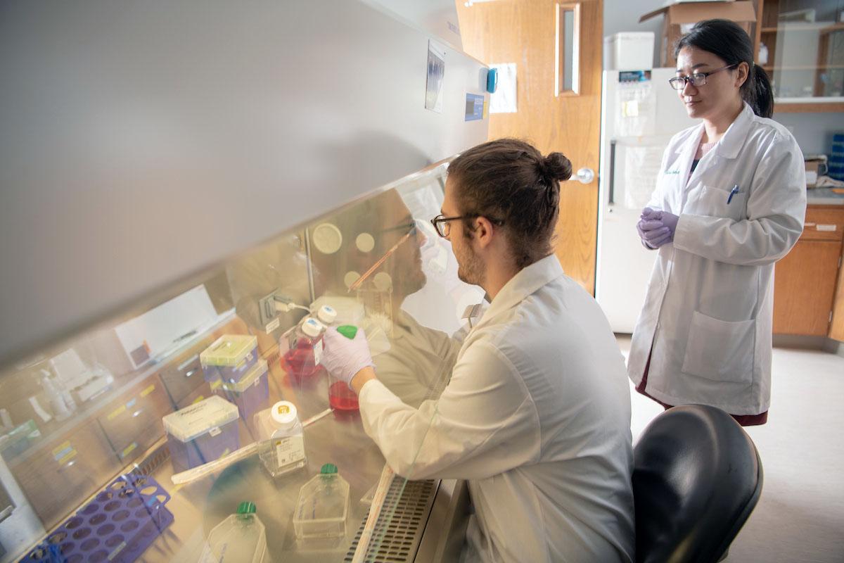 Students wearing lab coats work in a biomedical lab.