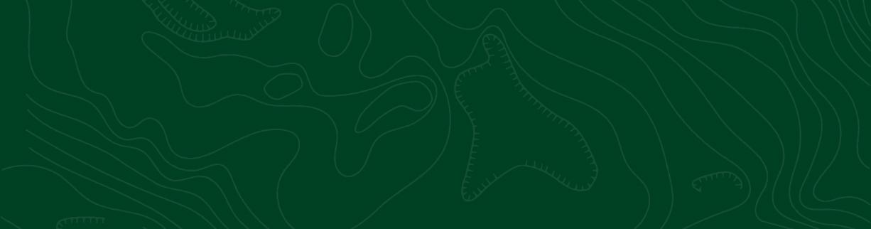 A graphic design with squiggly lines and a green background.