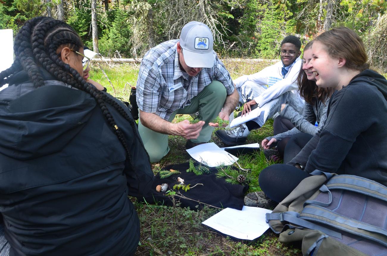 A professor and students examine plants in nature