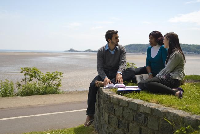 People reading outside near the beach.