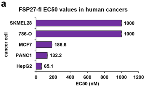 Image of a Graph