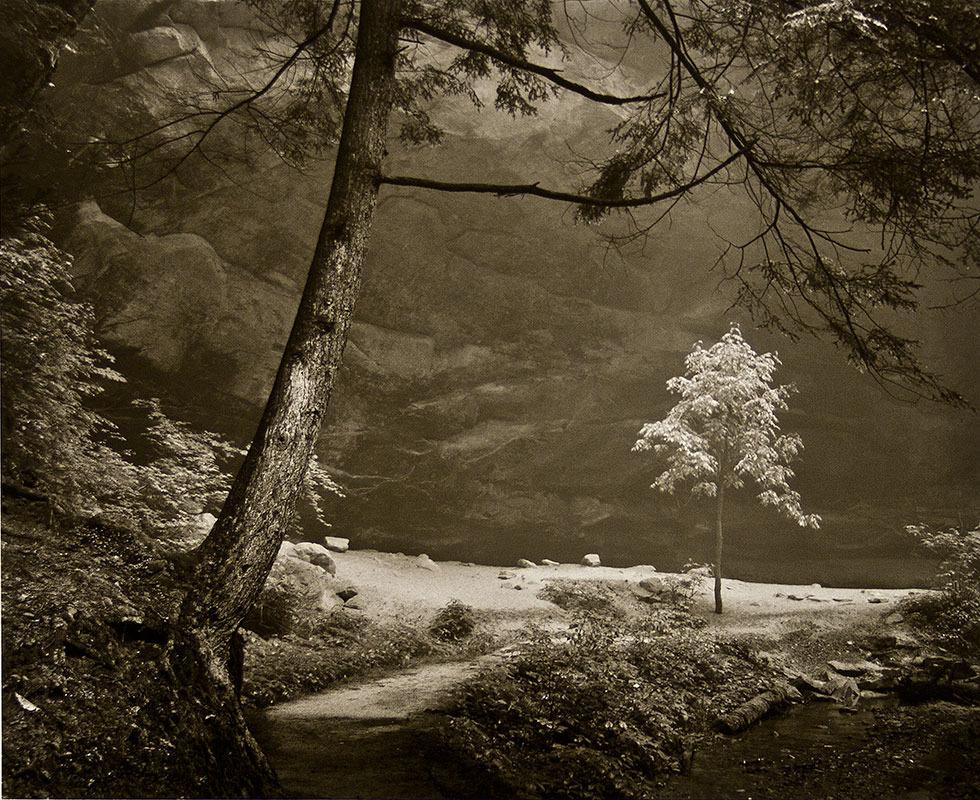 Ash Cave, Ohio, 1981, Frederick Schreiber, gelatin silver, 16 x 20 in. (40.6 x 50.8cm), 84.082.i4. Gift of the artist.