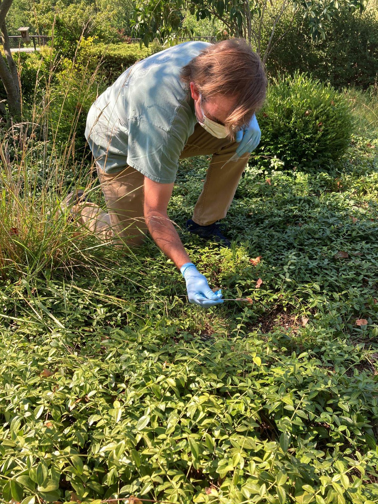 Student on a green roof collecting a soil sample