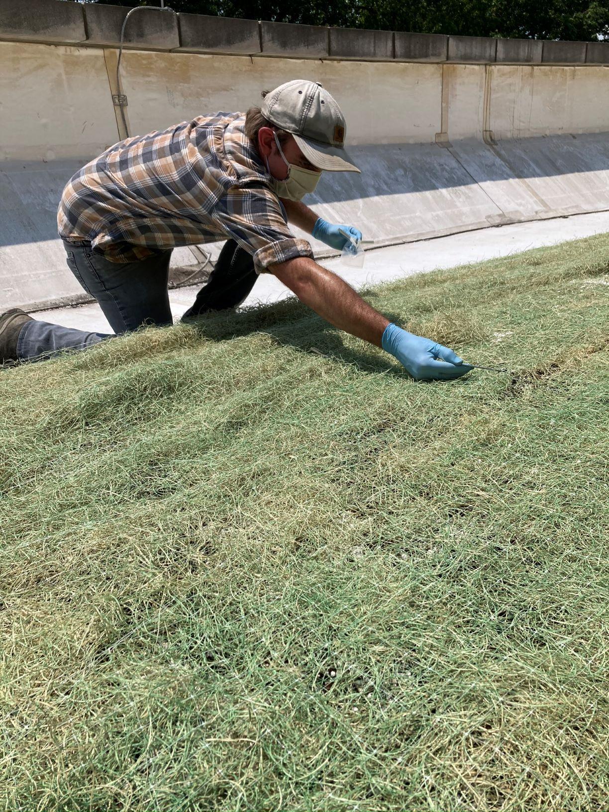 Student on a green roof collecting a soil sample1