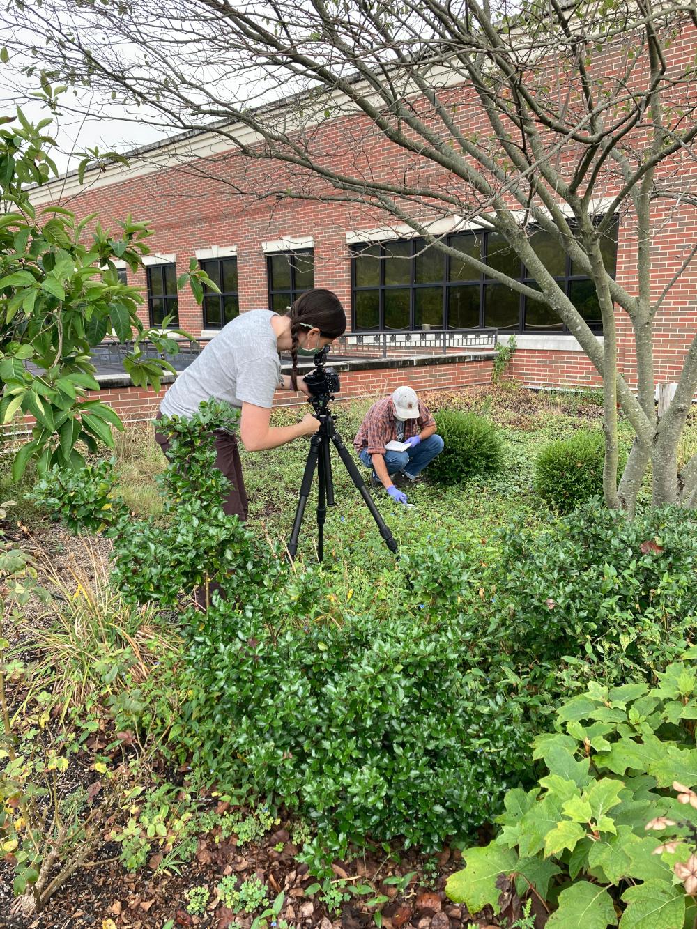 Green Roof Video & Film Gallery 1