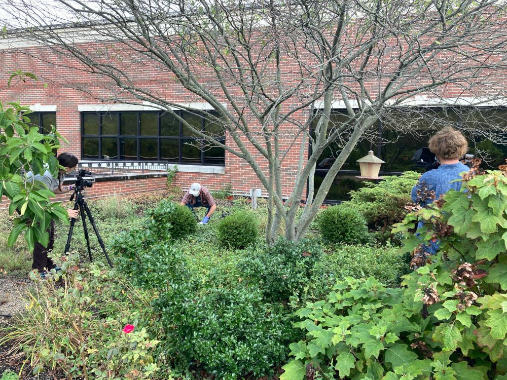 Green Roof Video & Film Gallery 5