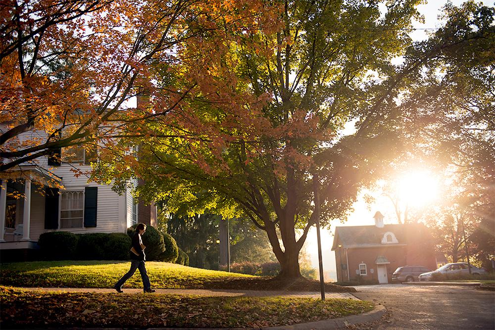 Sun shining through campus