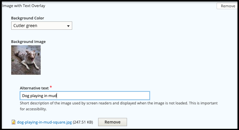 Add Background Color and Background Image
