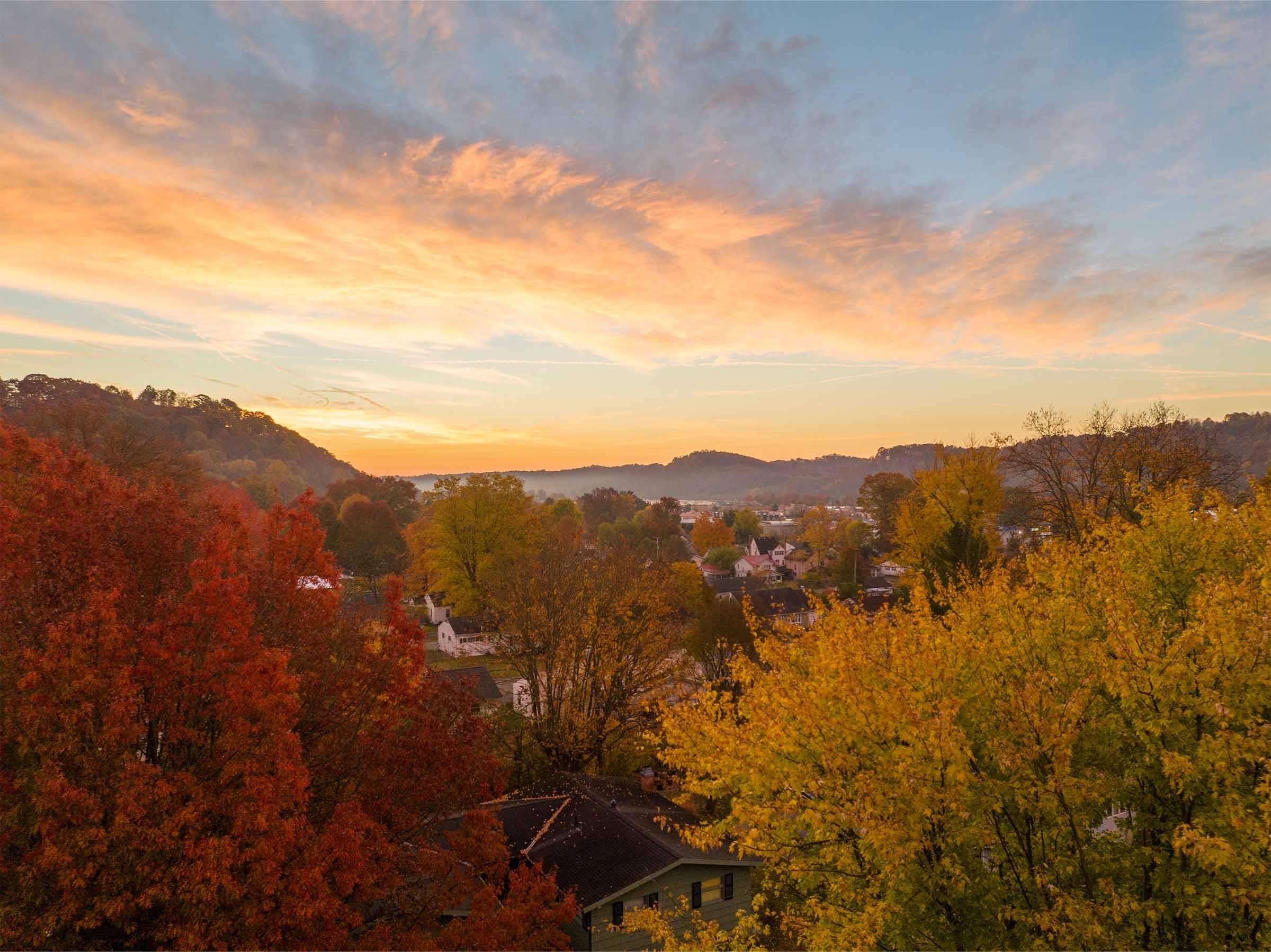 Drone Photo Over Fall Woods