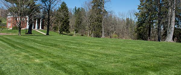 Ridges Lawn, featuring a green field surrounded by trees