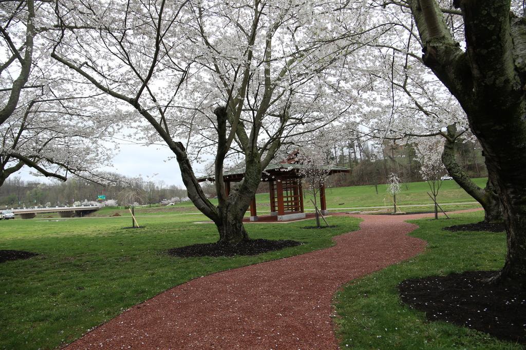 3_31_2025 Path