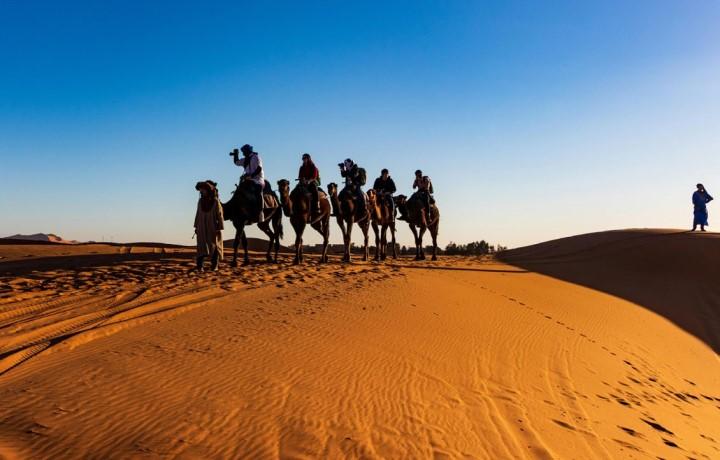 People on camels traveling over sandy terrain as the sun sets.