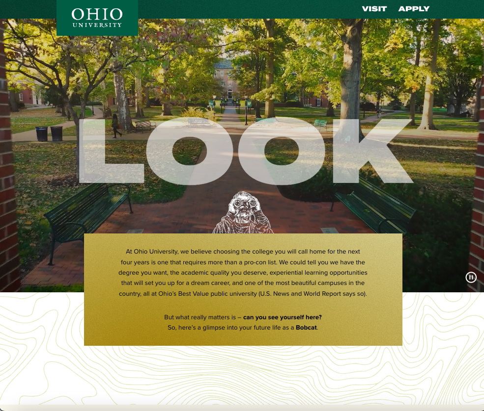 Screenshot of Look Book website