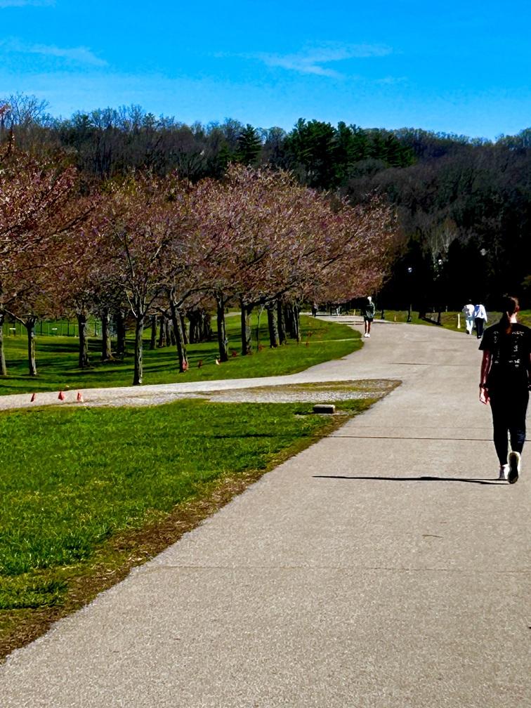 Bike path peden