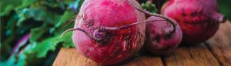 beetroot