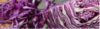 RED CABBAGE