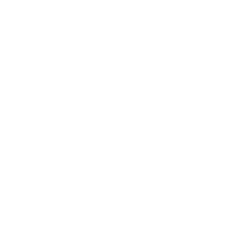White Veterans Center Logo