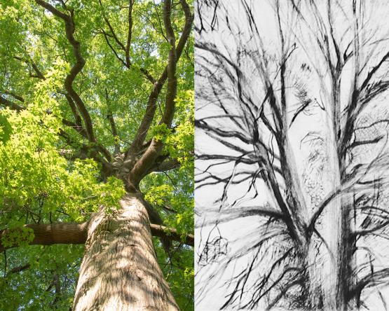 Family Art Encounters April 2021