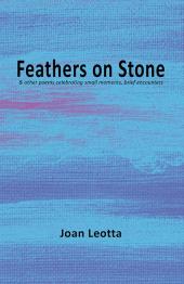 Blue and purple parchment texture on cover.
