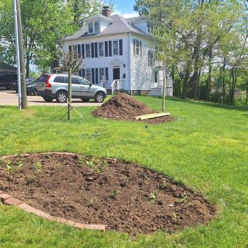 An image of the side lawn of the new Ecohouse with a small garden plot