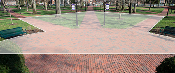 cutler lawn