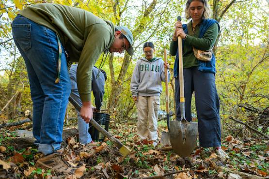 Students digging with shovels in wooded area