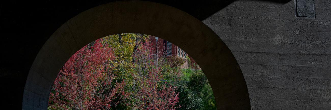 An archway on the Ohio University campus with fall foliage in the background.